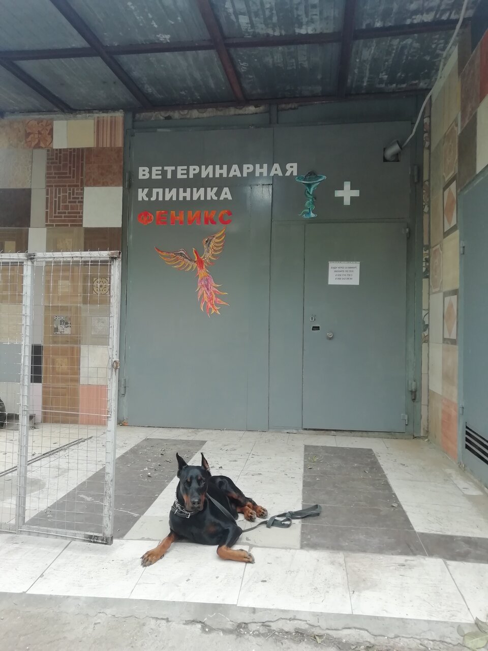 more clinic photos 15327