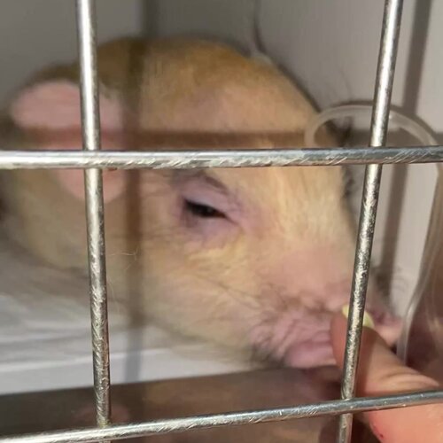 clinic general image