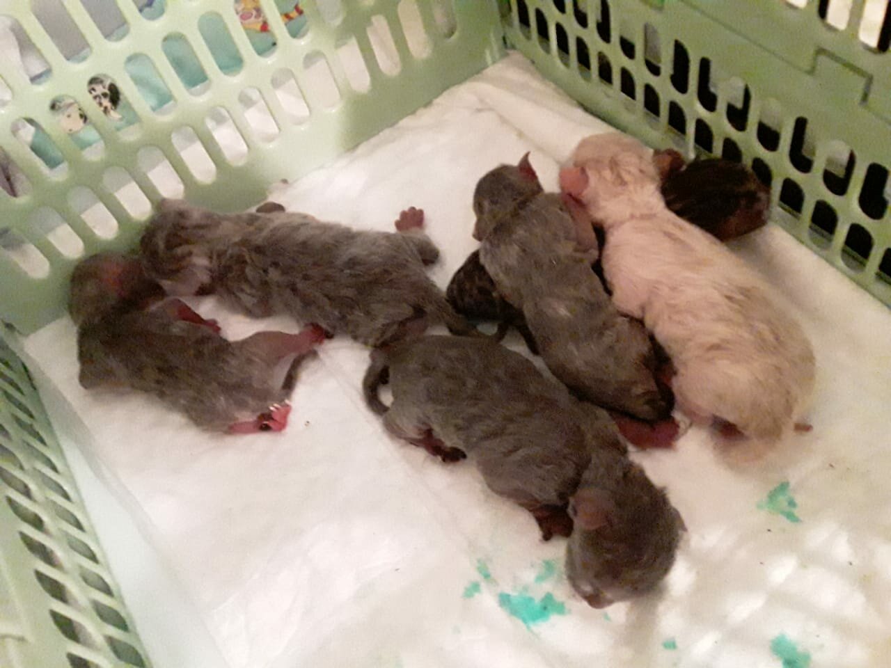 clinic general image