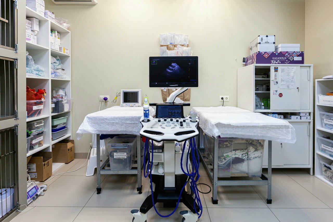 Фото филиала Ветеринарный лазарет