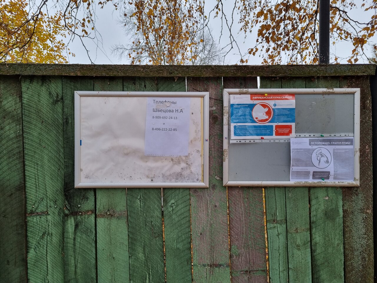 Фото клиники 45983