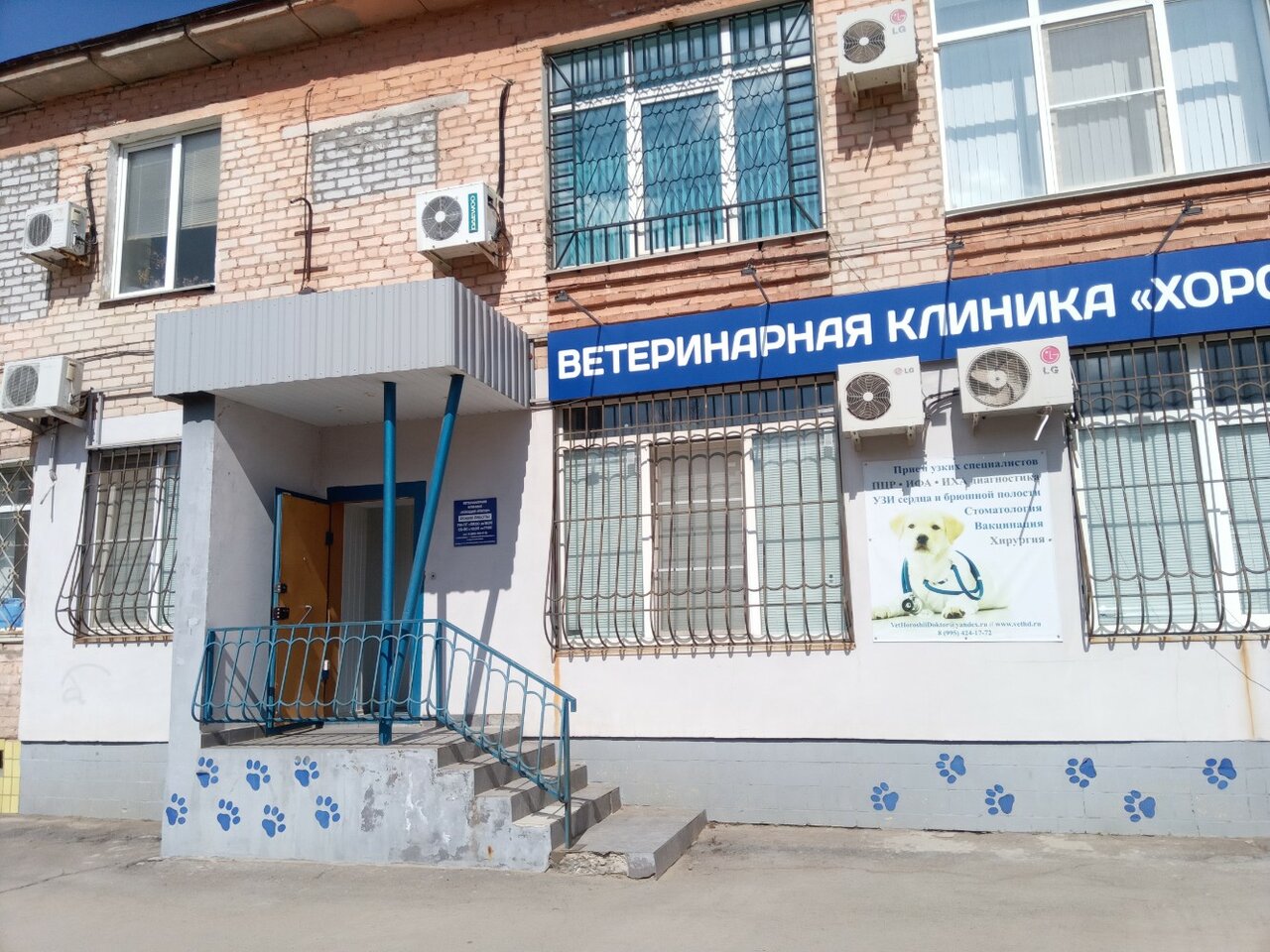 Хороший Доктор