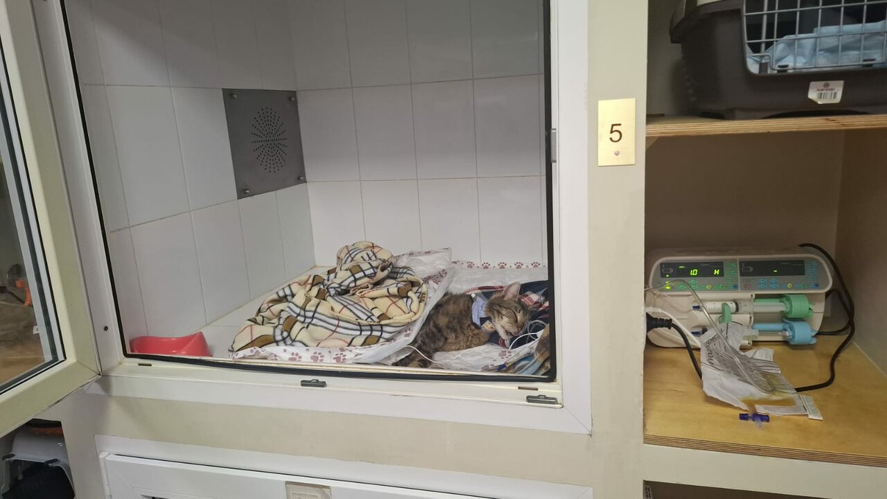 more clinic photos 16063