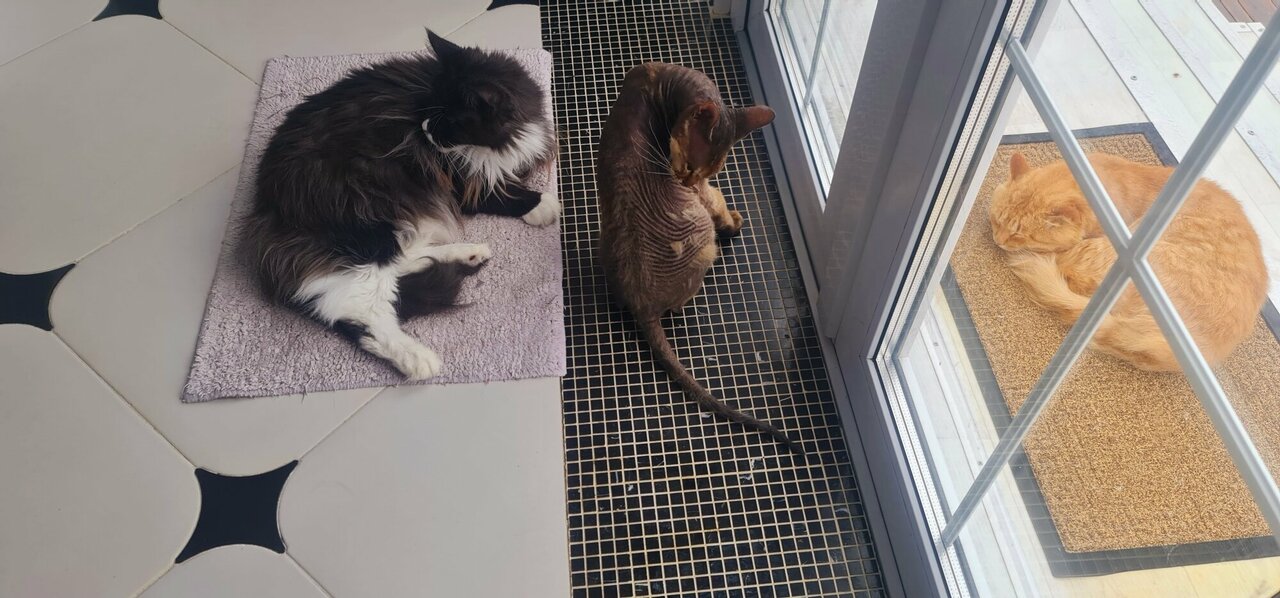 clinic general image