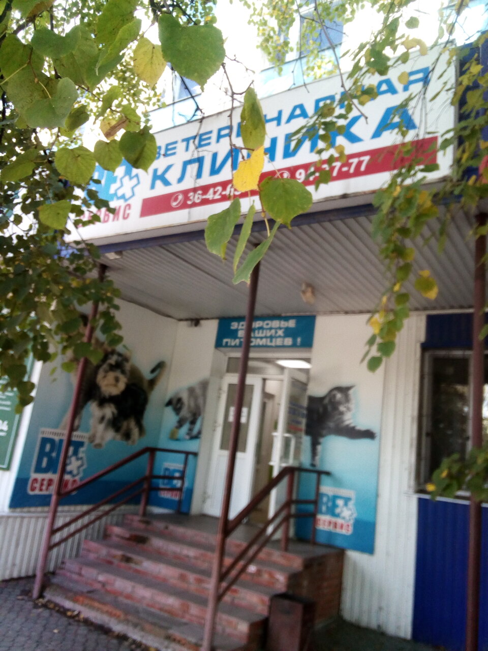 Фото клиники 5631