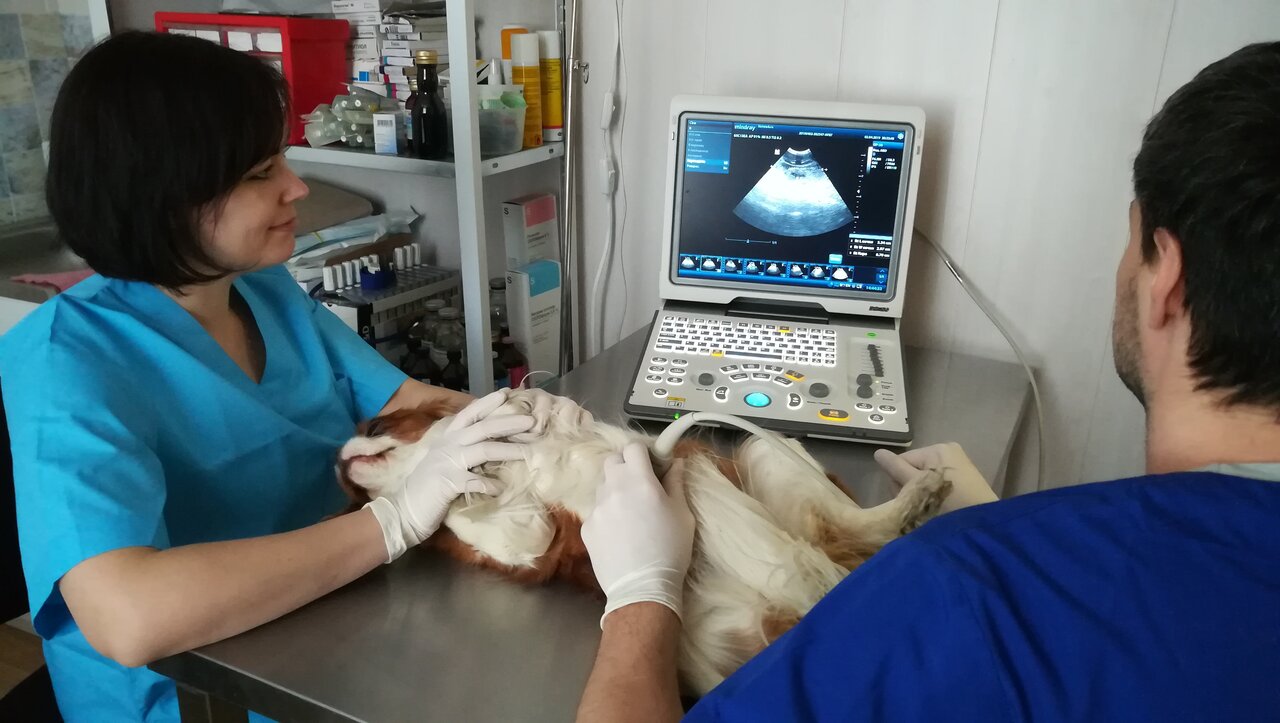 clinic general image