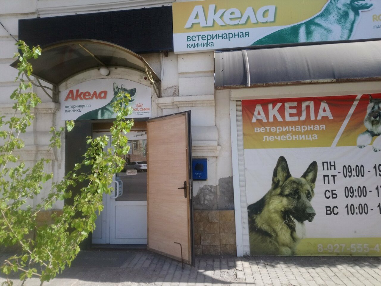 Фото клиники 31229