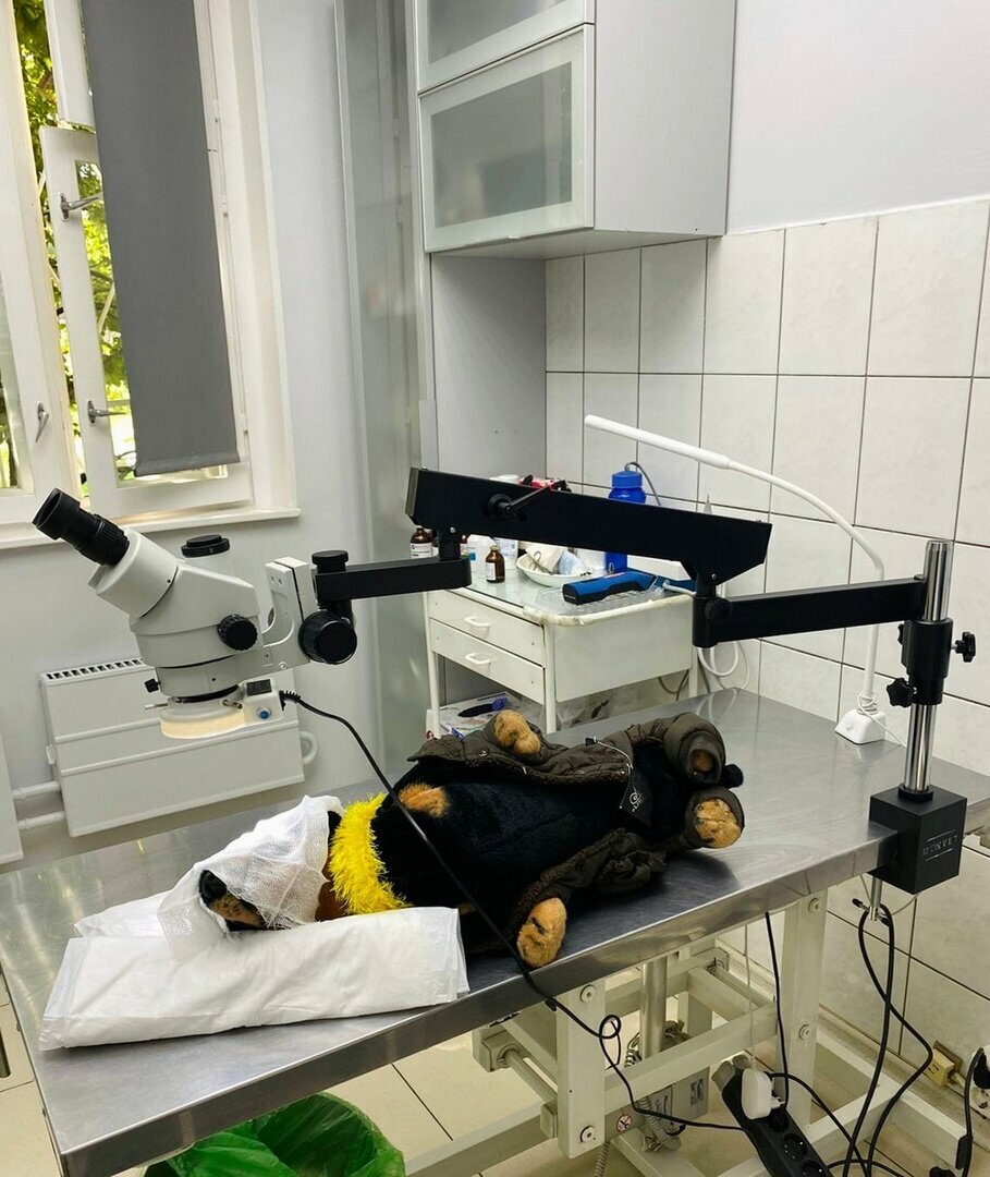 more clinic photos 3742