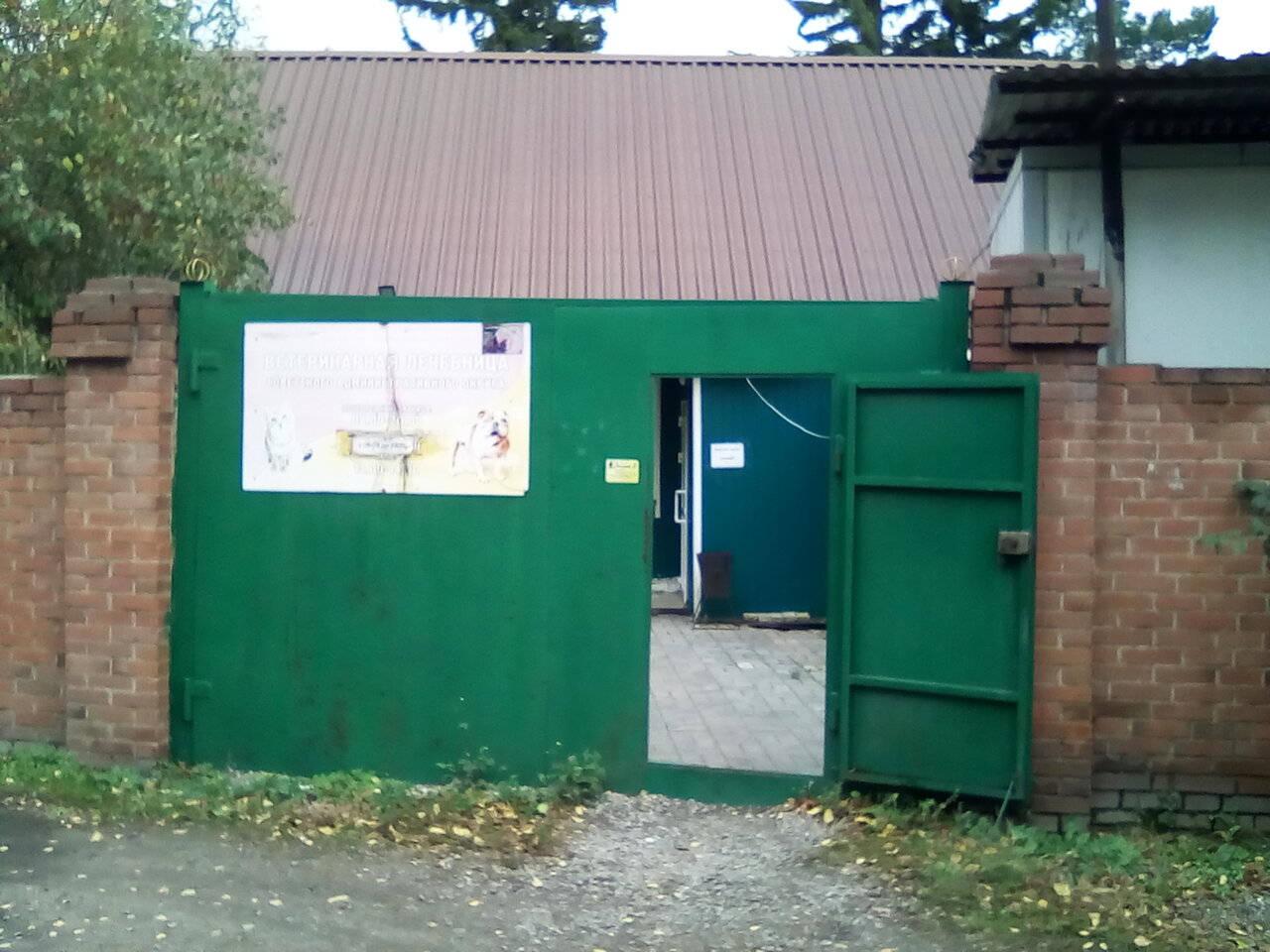 Фото клиники 61249