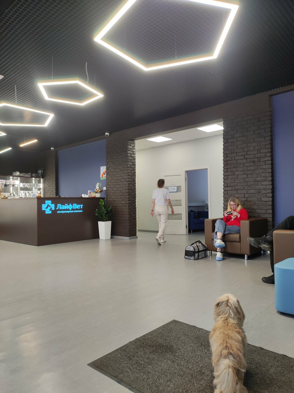 more clinic photos 80591