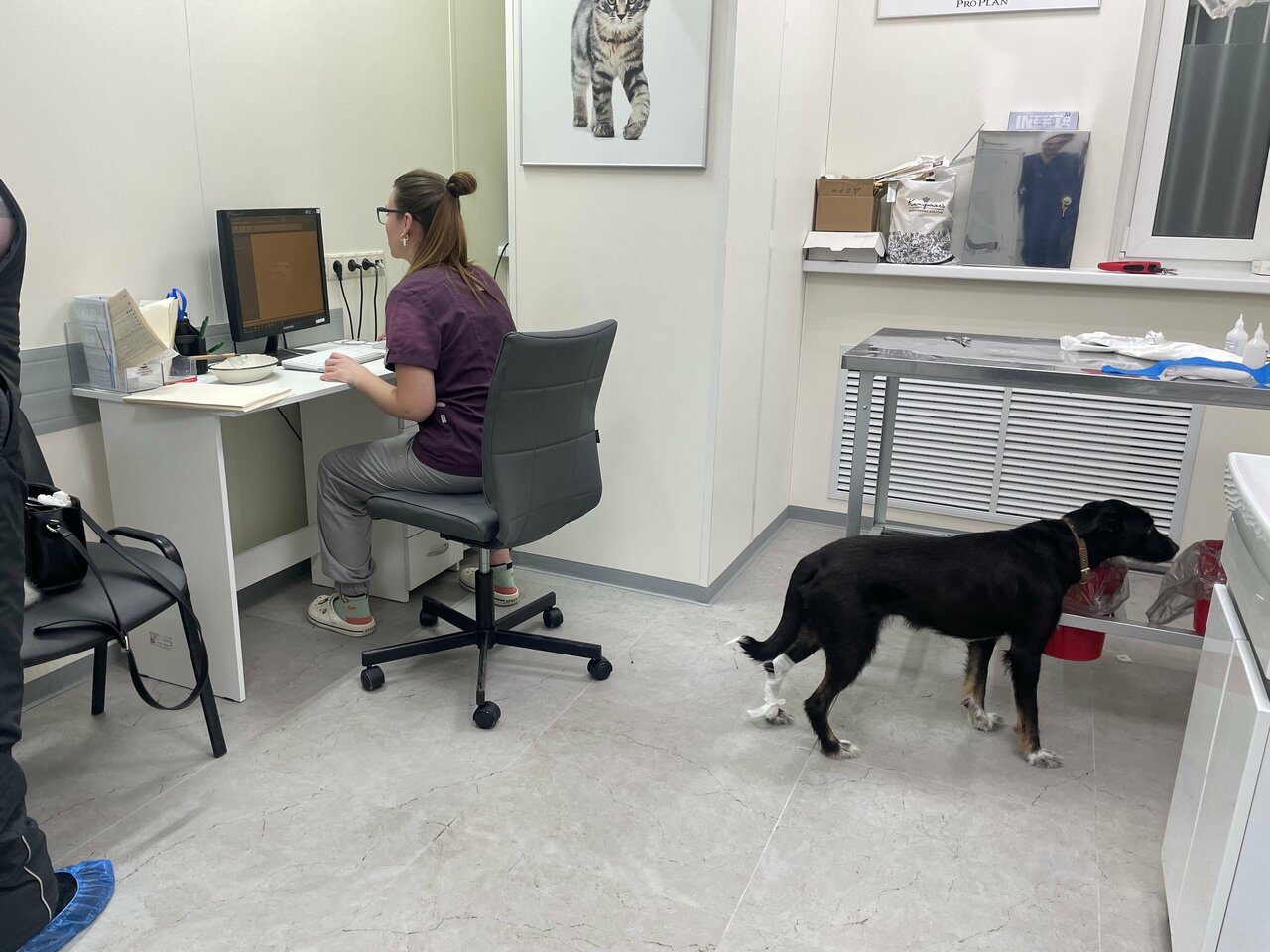 more clinic photos 20860