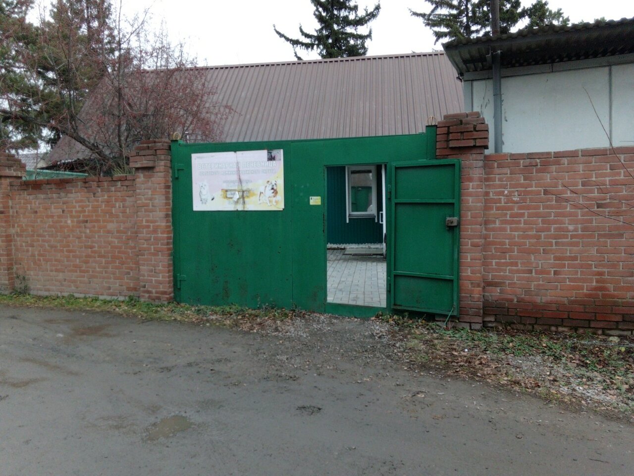 Фото клиники 61246