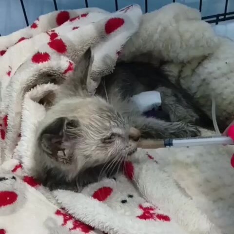 clinic general image