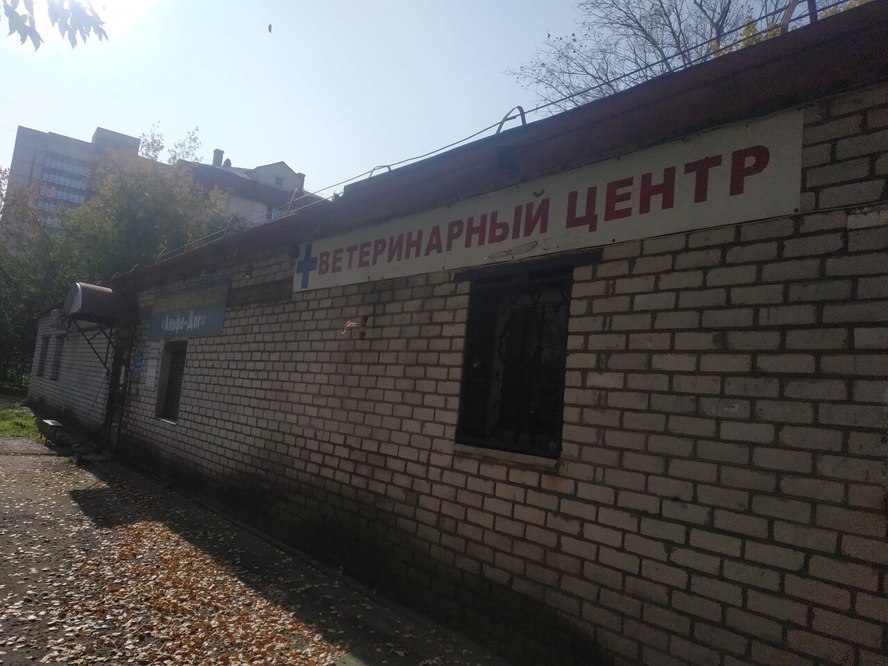 Фото клиники 60624