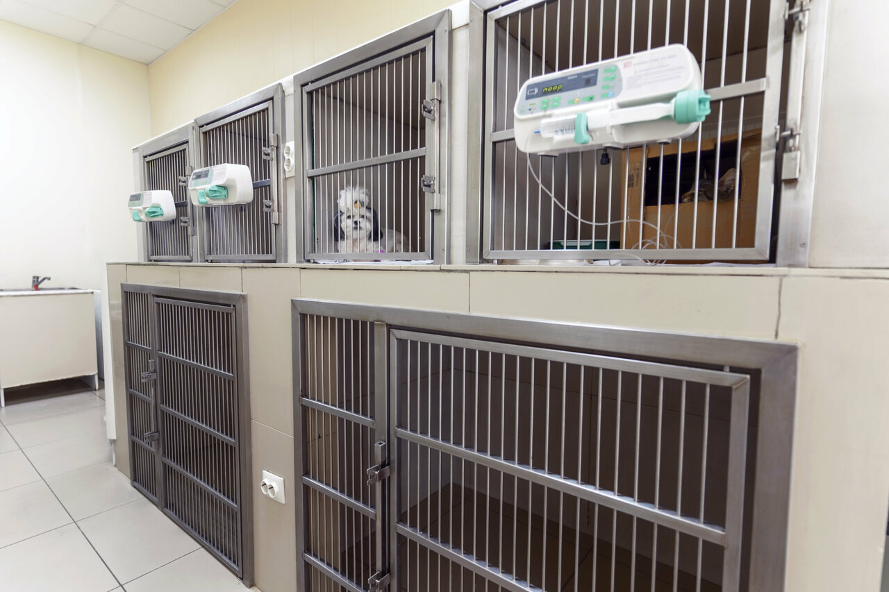 clinic general image