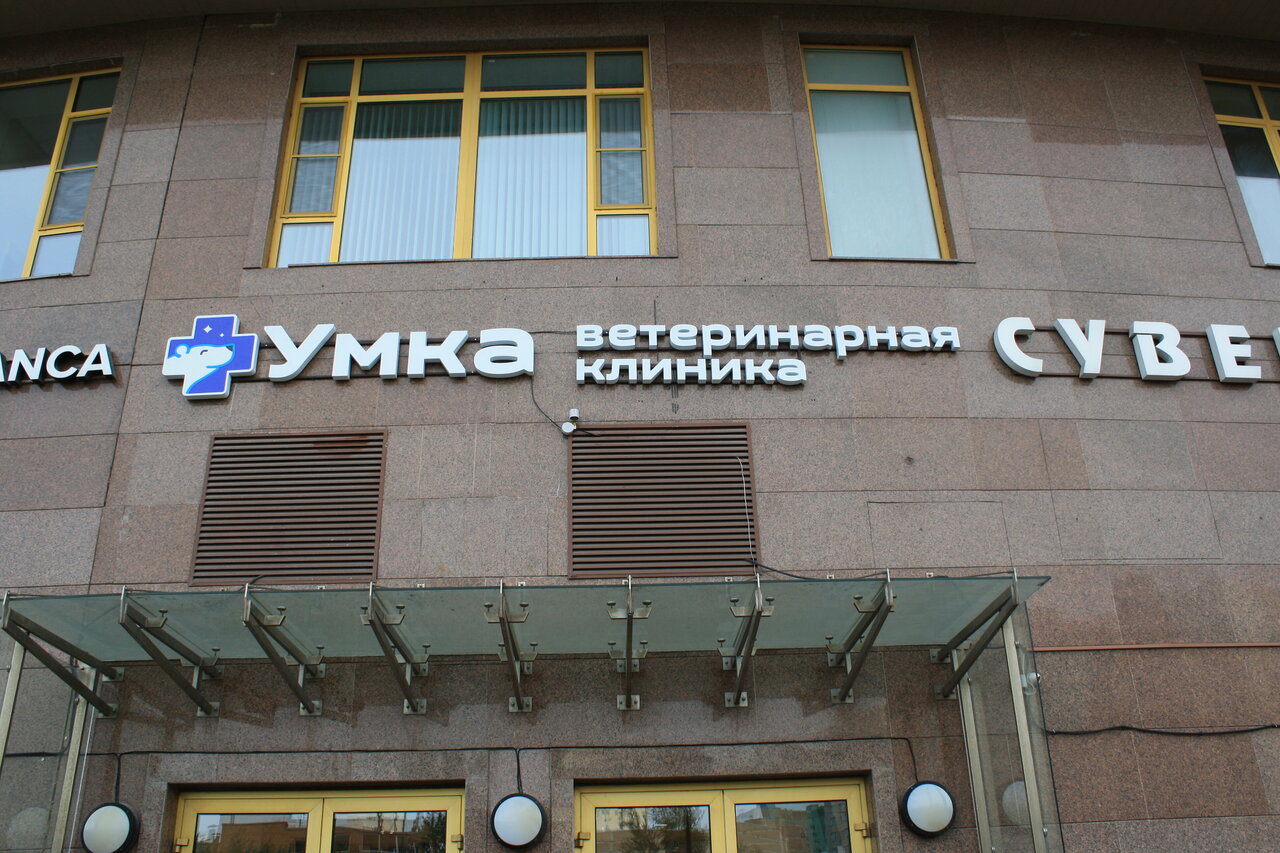 Фото «Умка»