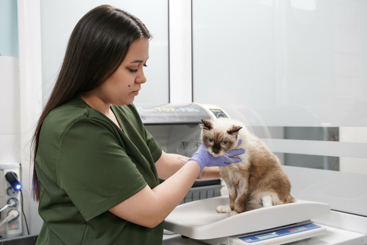 more clinic photos 17215