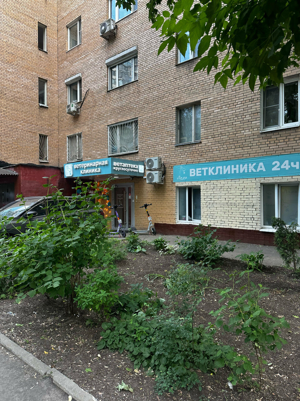 Фото клиники 19232