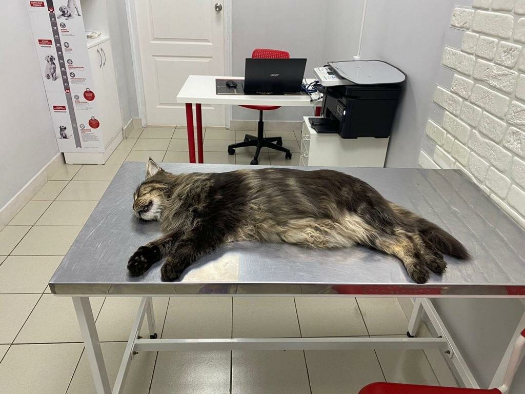 more clinic photos 73019