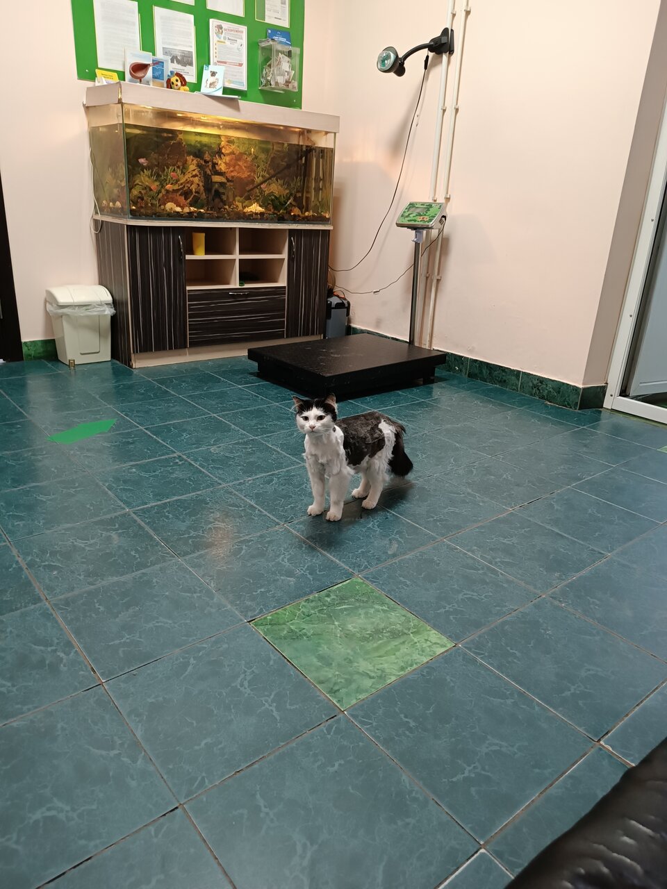 Фото клиники 50423