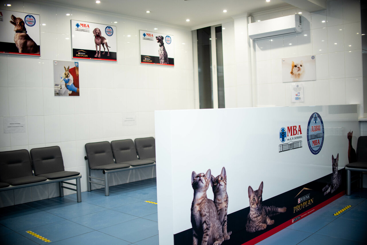 more clinic photos 4945