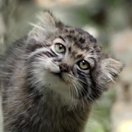 clinic general image