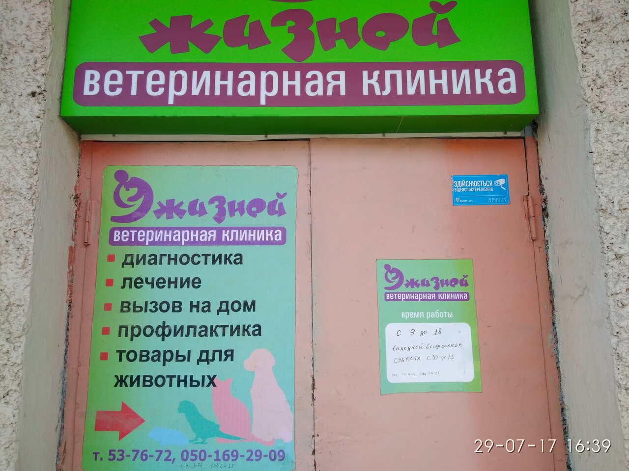 Фото клиники 9 Жизней