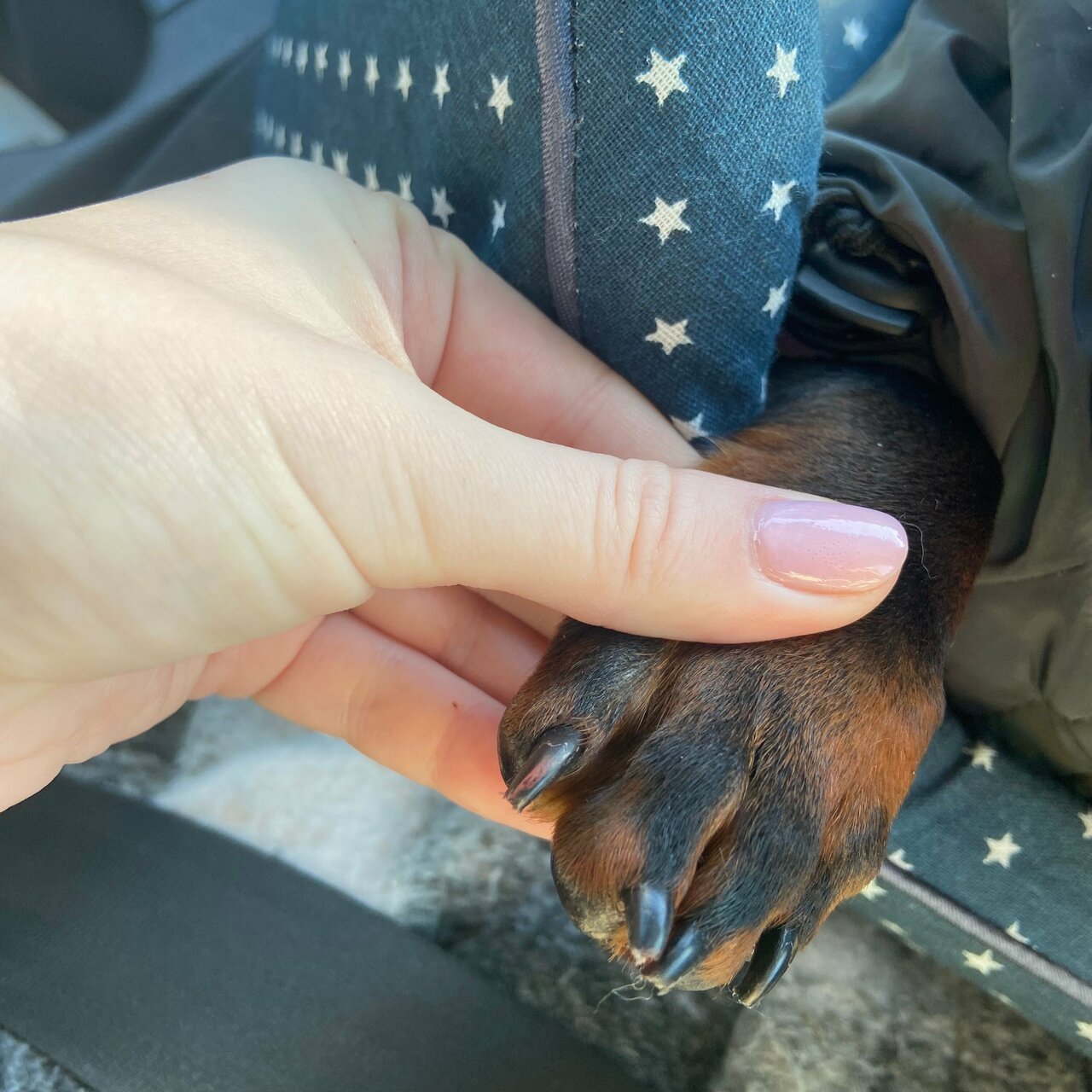 Ветеринарная клиника