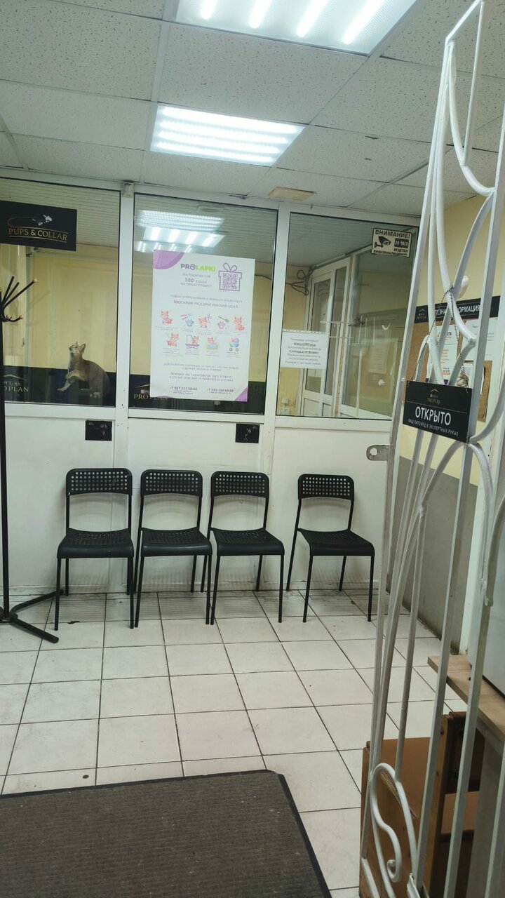 Фото клиники 66522