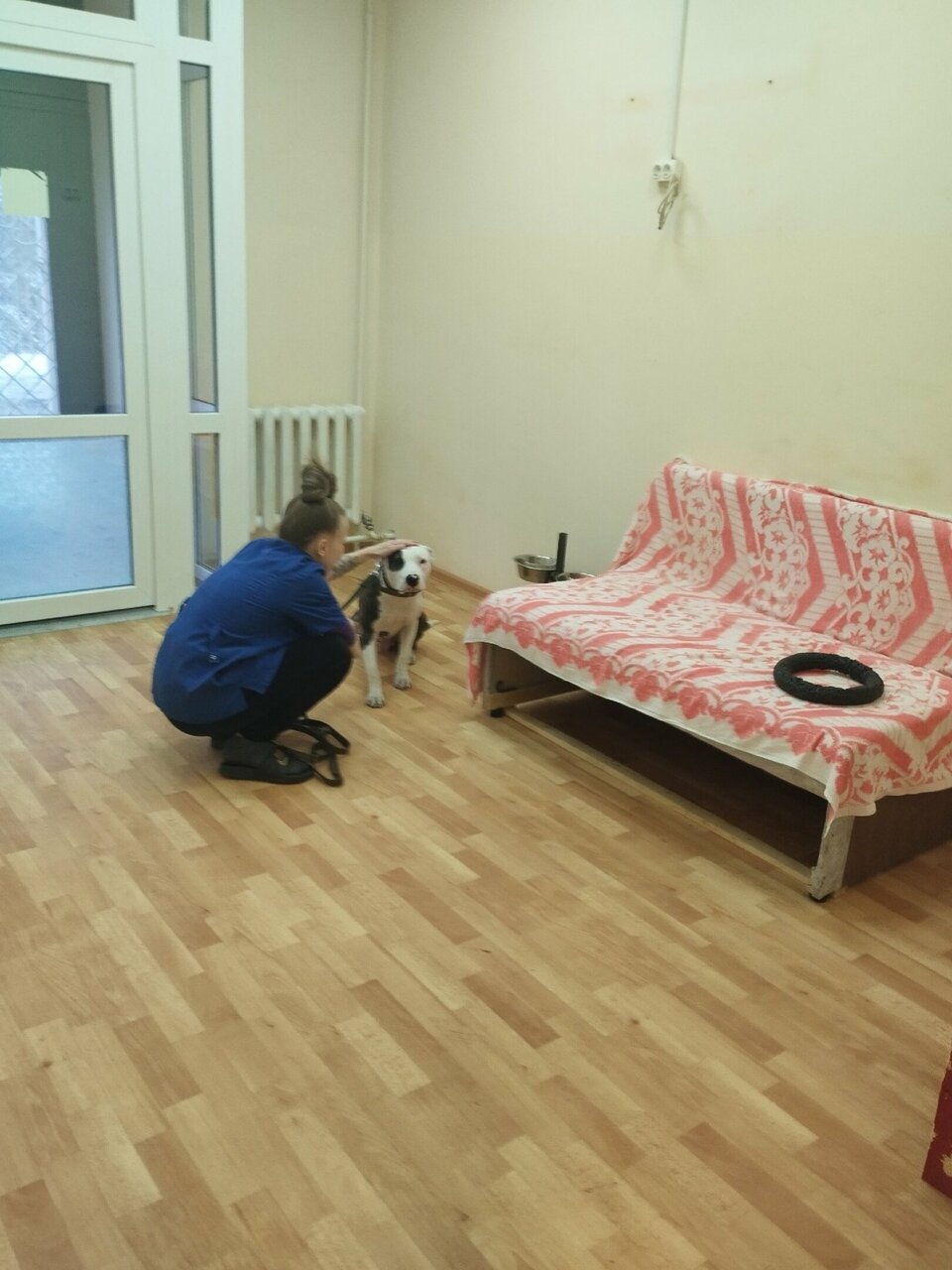 Фото клиники 43559