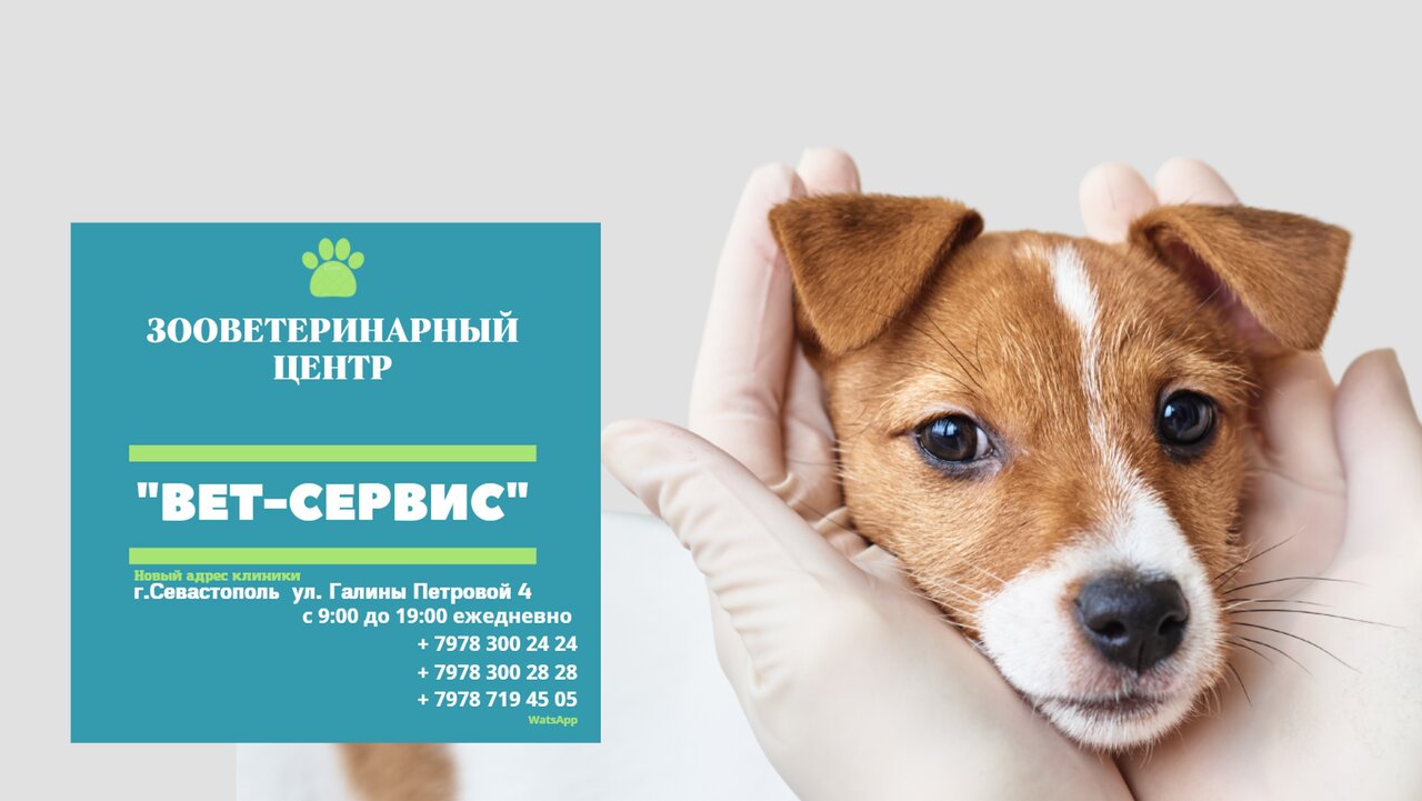 Фото «Зоовет. центр Вет-сервис»