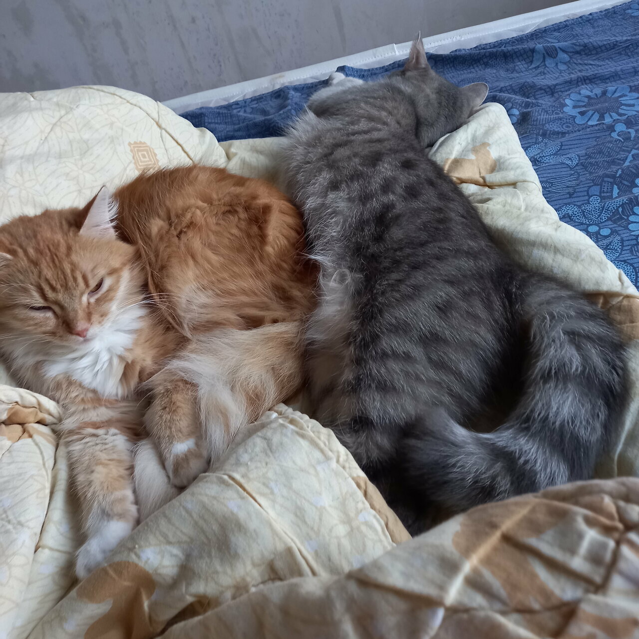 clinic general image