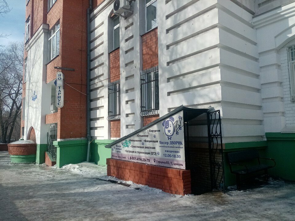 Фото «Мистер Дворик»