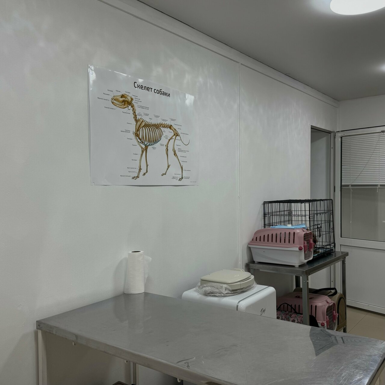 more clinic photos 36718