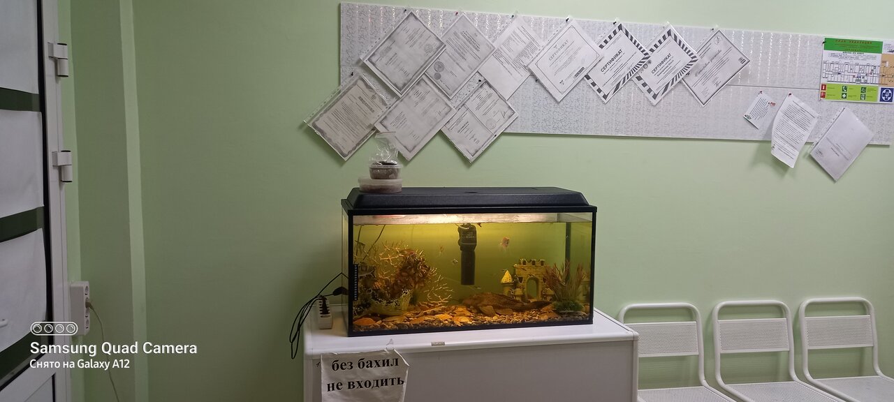 Нижнеилимская ветклиника