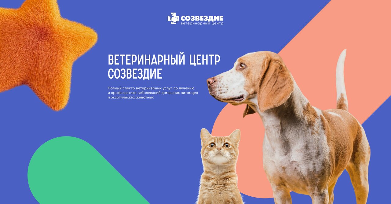 Фото «Созвездие»