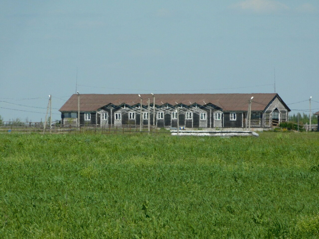 Фото клиники Светозар