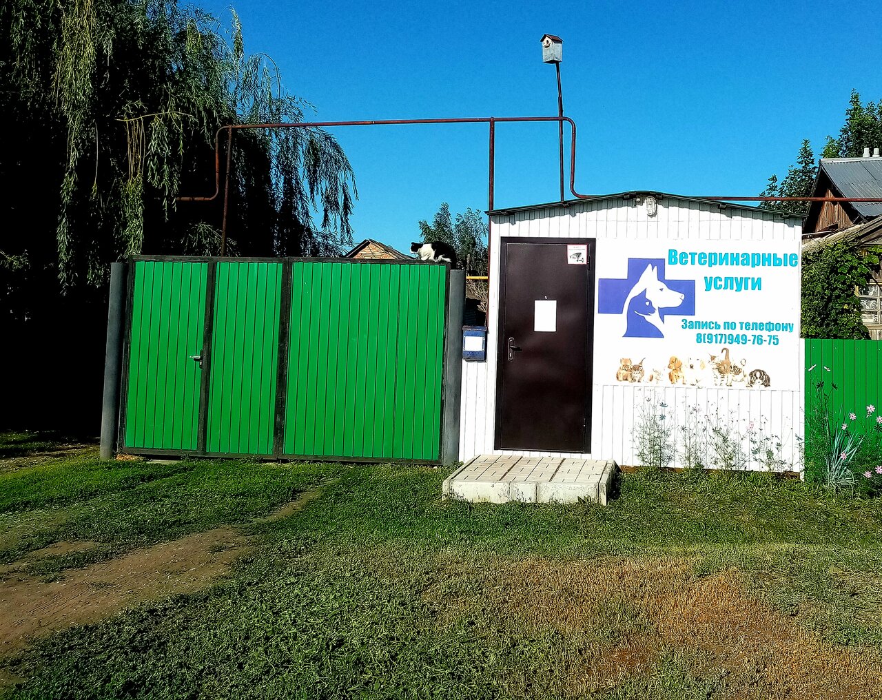 Фото «Веткабинет»