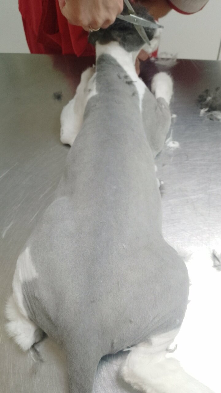 more clinic photos 6090