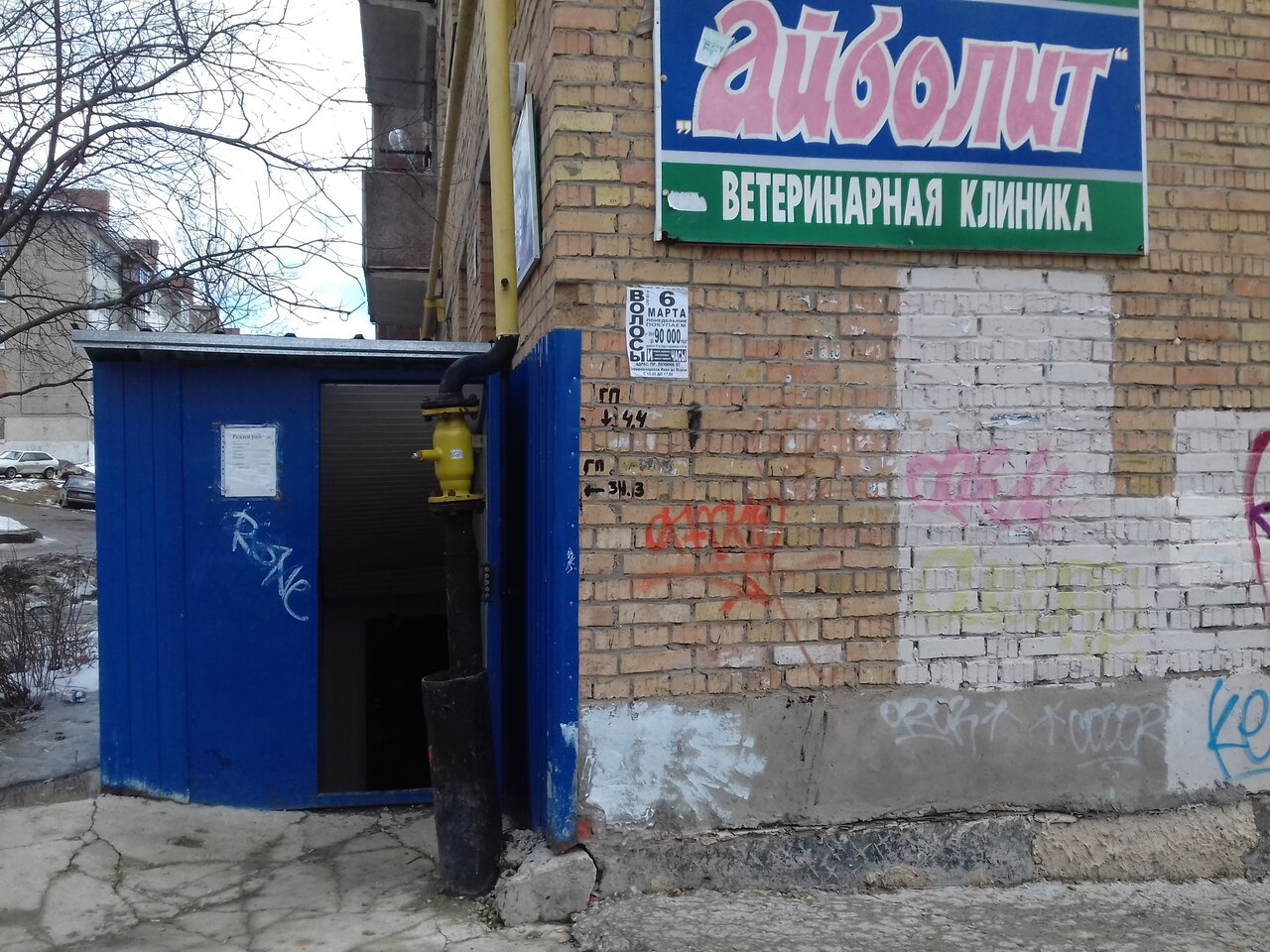 Ветеринарная клиника Айболит