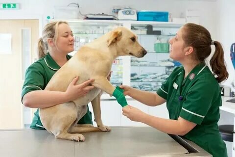 clinic general image