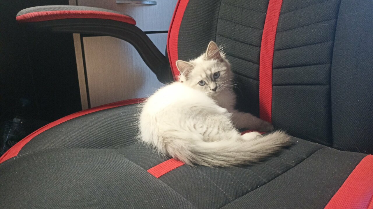 clinic general image