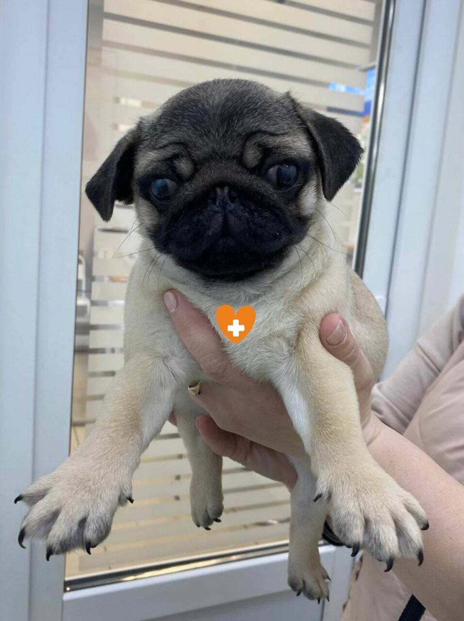 more clinic photos 2417