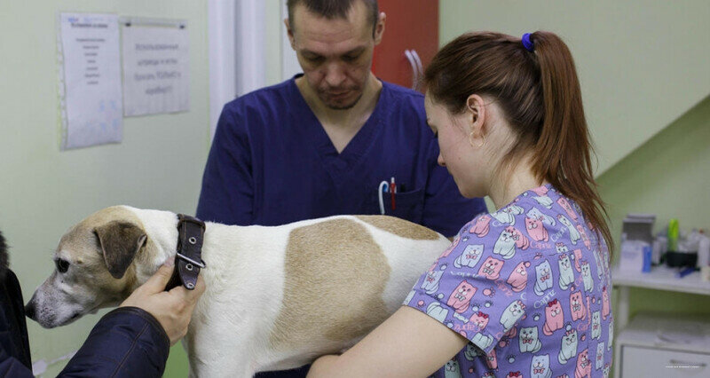 clinic general image