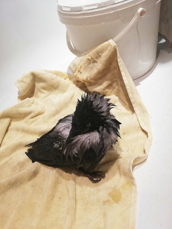 more clinic photos 8245