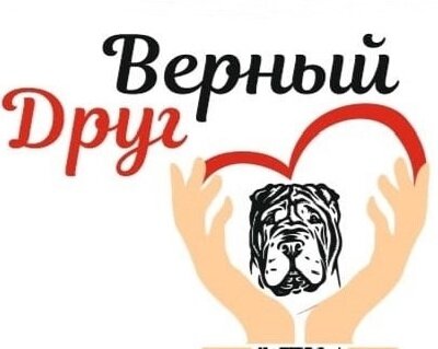 Логотип клиники