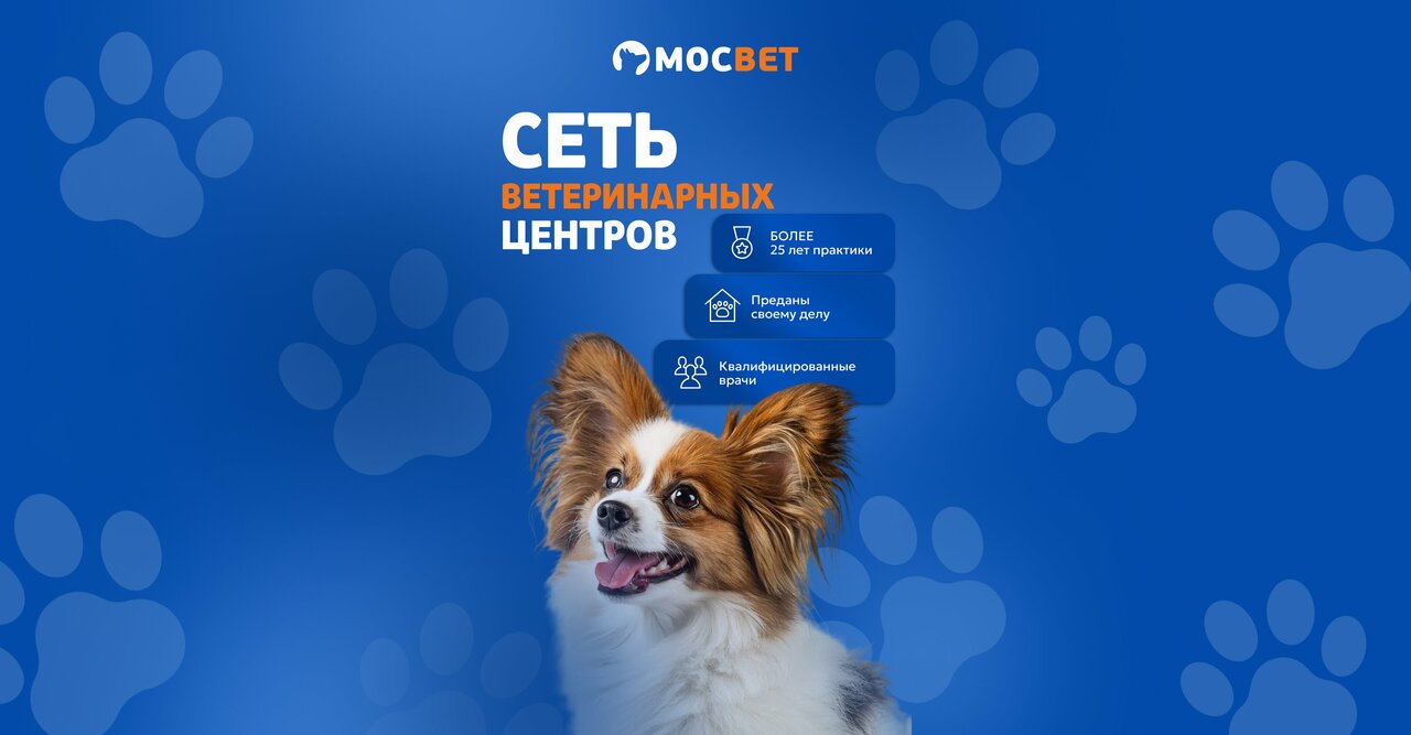 Фото «Мосвет»