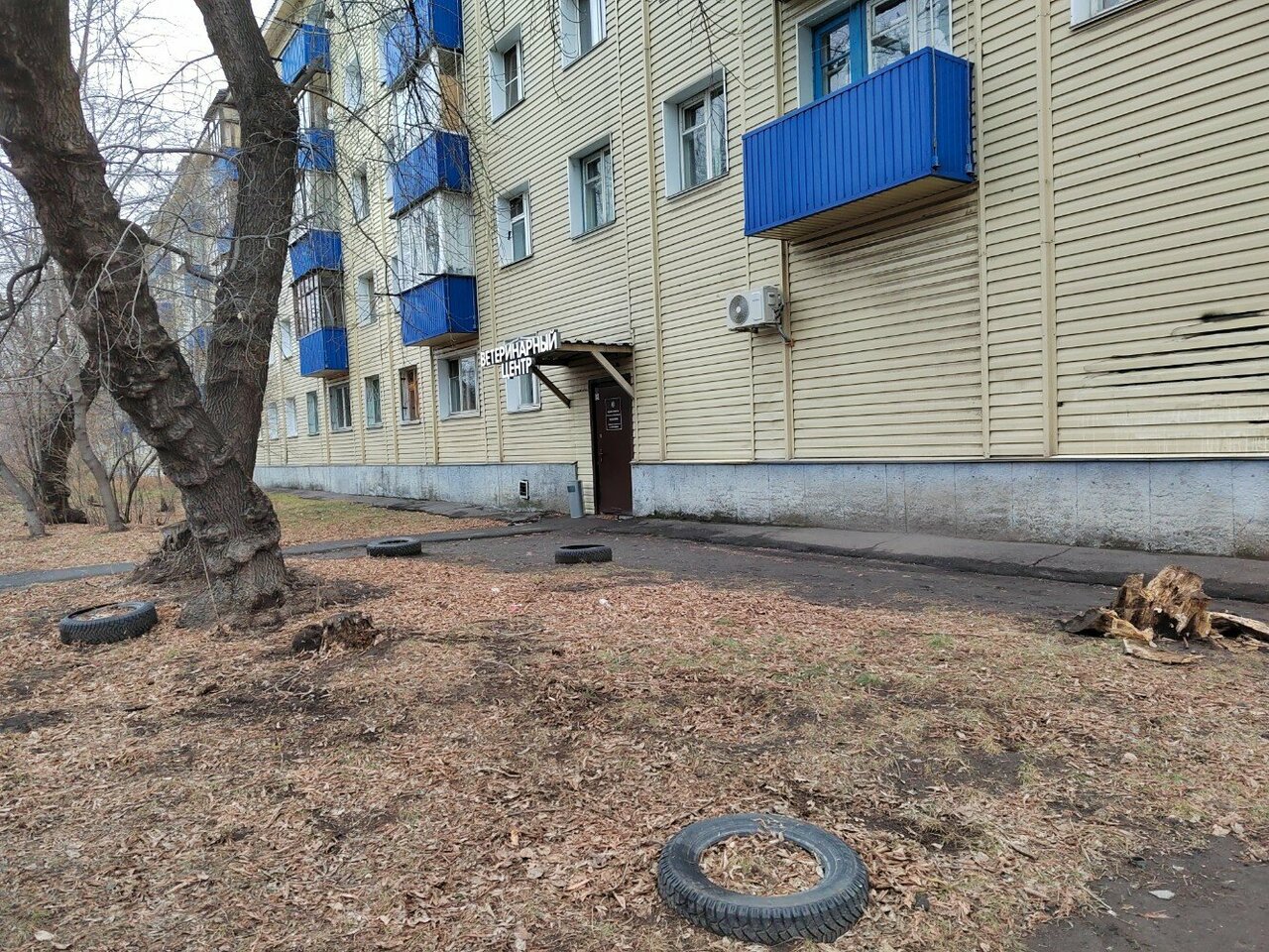 Фото клиники 83847