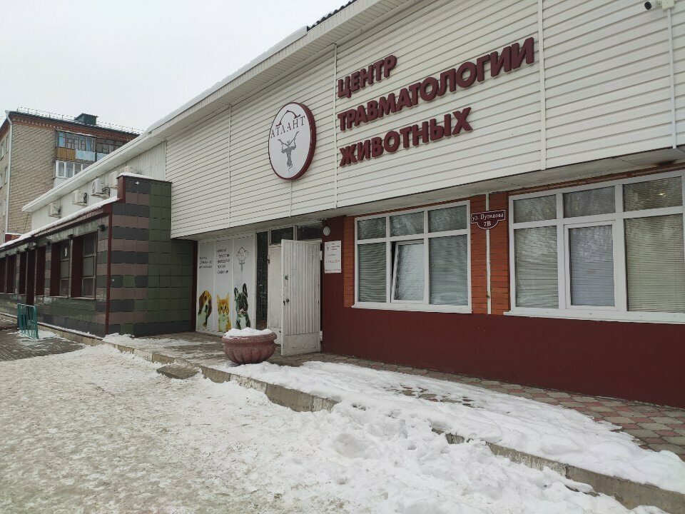 Фото «Атлант»