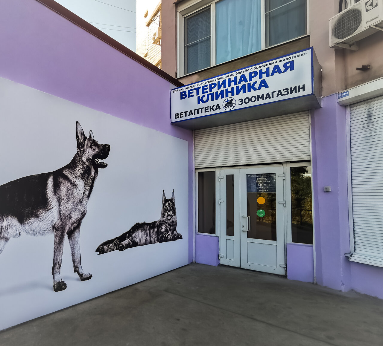 Читинская городская станция по борьбе с болезнями животных